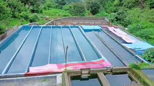 05_10_2023-_fish_farming