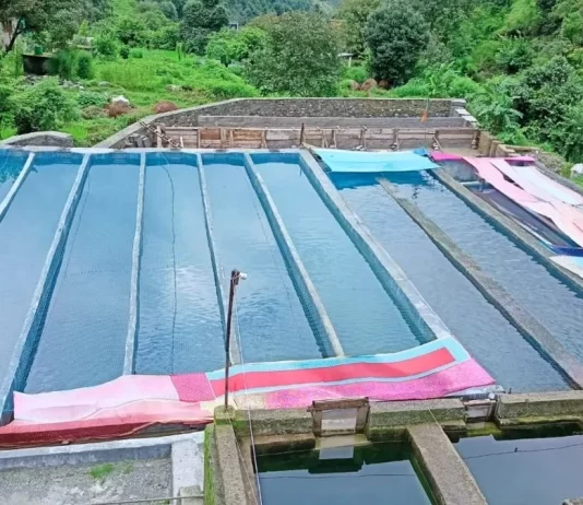 मछली पालन में बागेश्वर कर रहा तरक्की, सुधर रही जिंदगियां