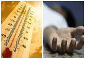 heat wave Heat Stroke Death