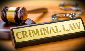 new 3 crime laws New Criminal Laws